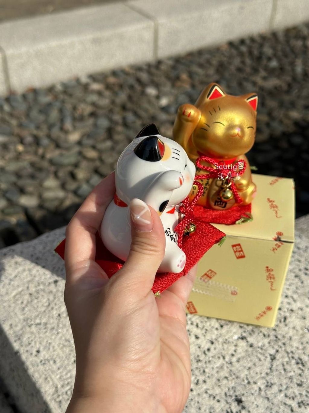 image_F28C5252-8E08-4425-AA8B-25F4258D2F63_1772885429