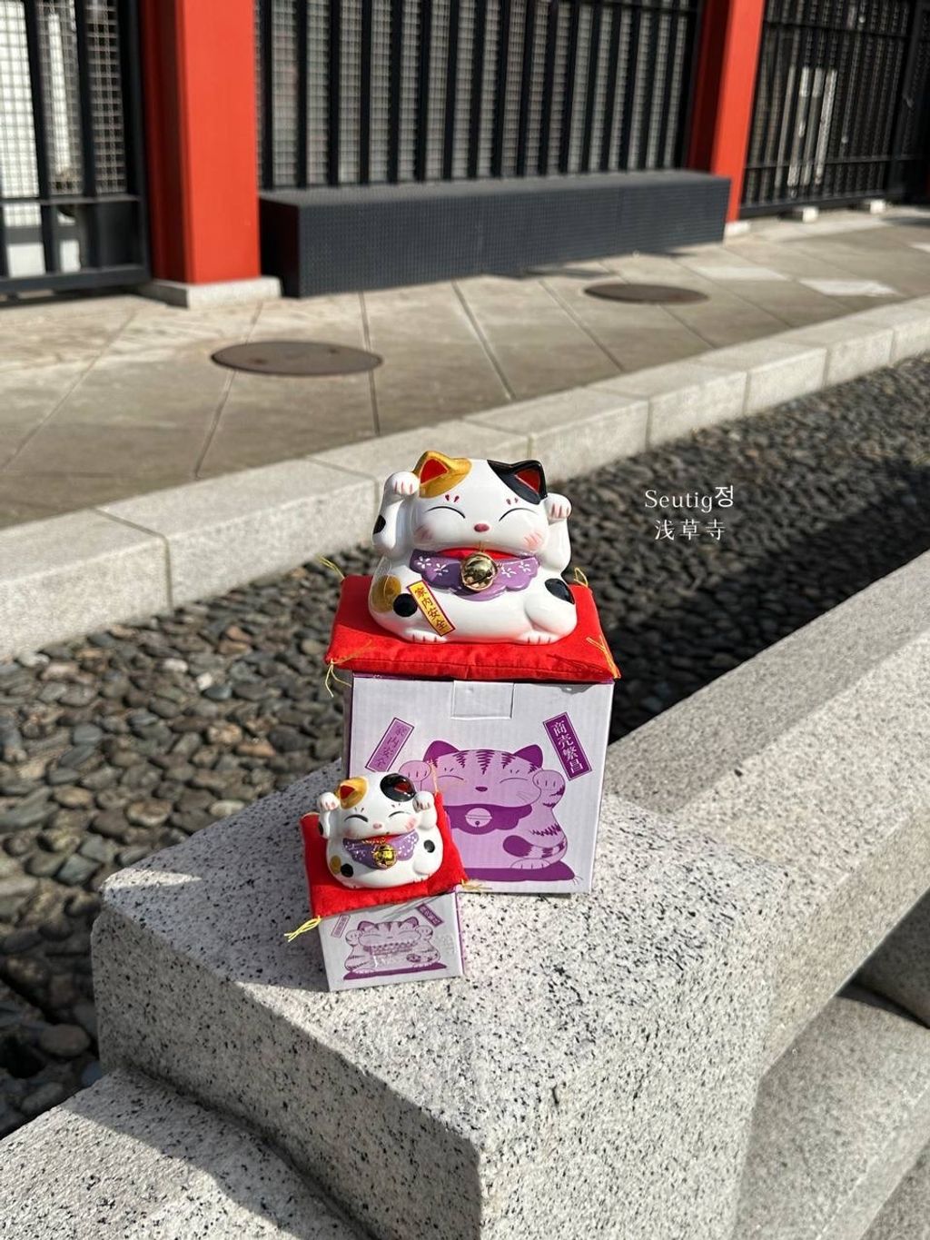 image_8AB73849-6021-4288-A175-30B1CC614177_1772885591