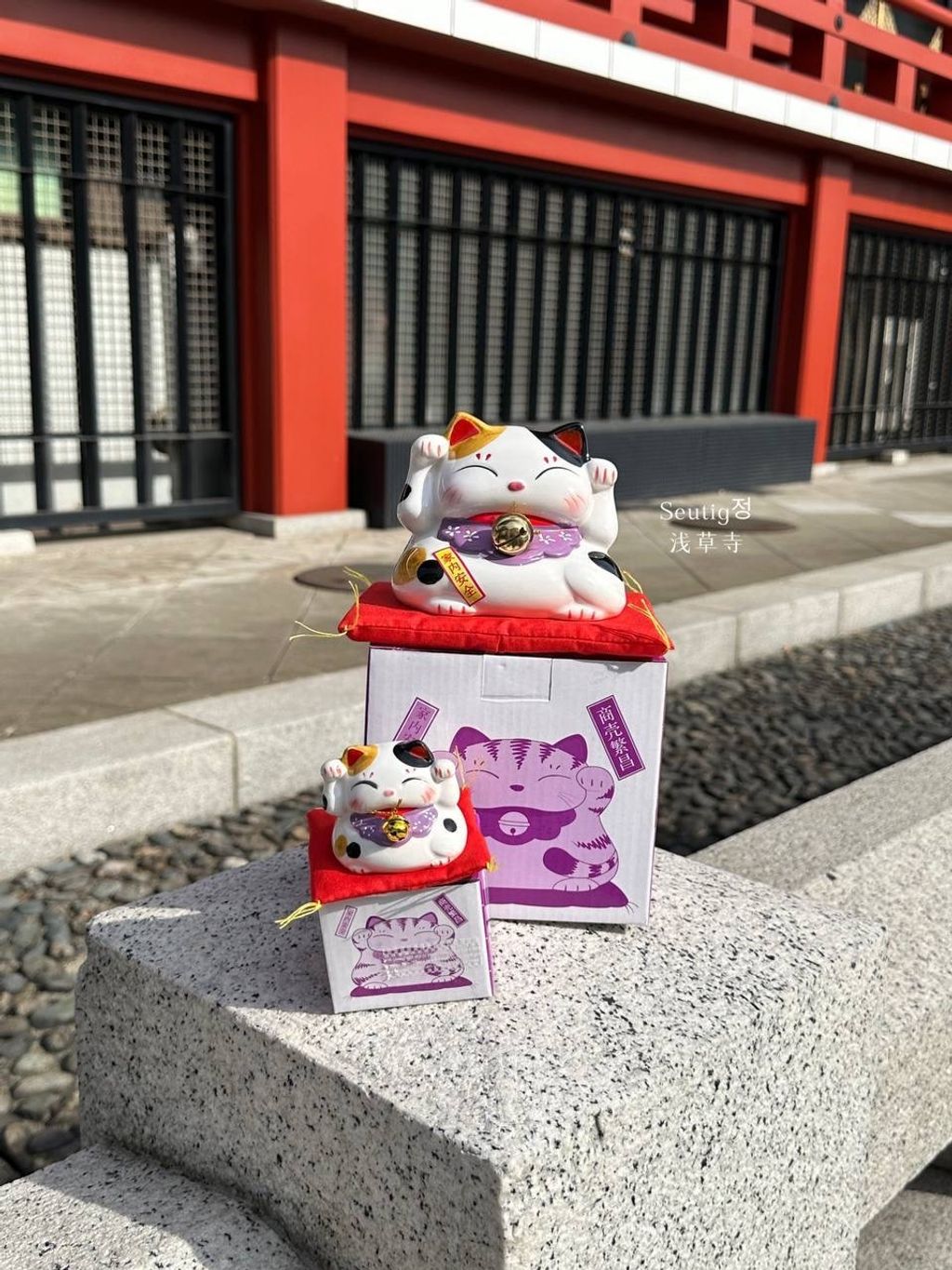 image_ADDC8306-BCEE-4EE6-A62E-B4F7255B16ED_1772885591