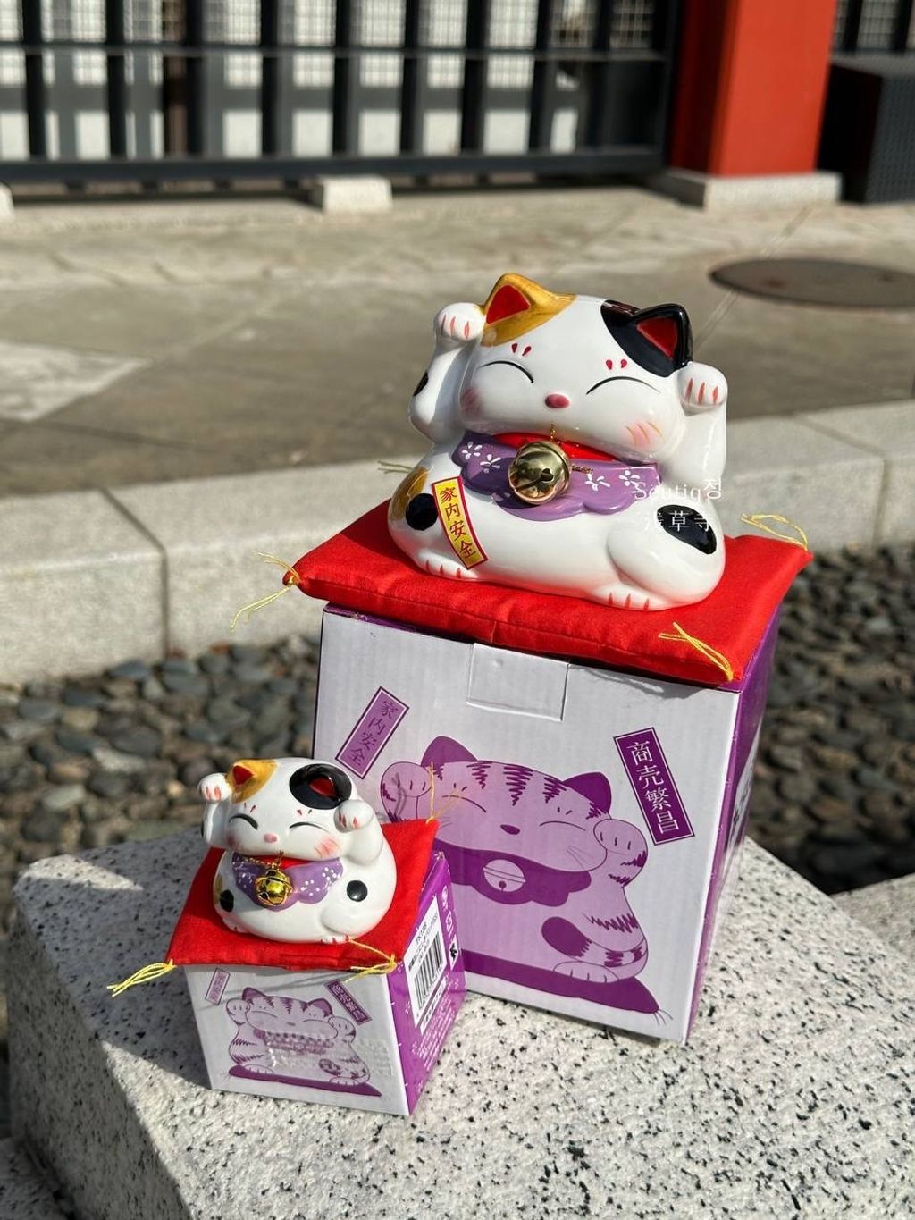 image_502A5B67-ADB5-43EB-B655-8B7FFBD0BA15_1772885591