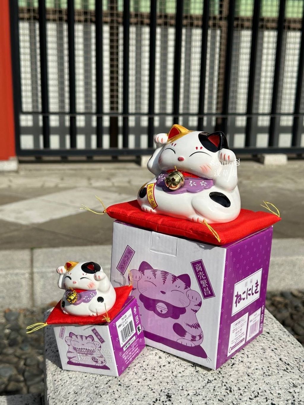 image_970648B5-8030-49D4-B14F-28EF3C7F5159_1772885591