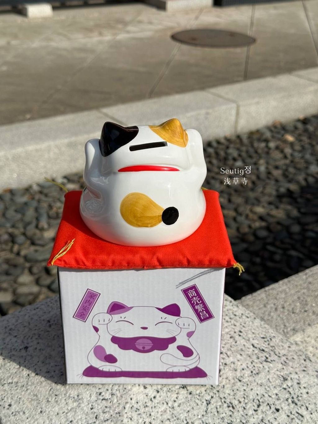 image_D7ECBC9C-E184-4EBC-BB4C-5FFAF0F73071_1772885591