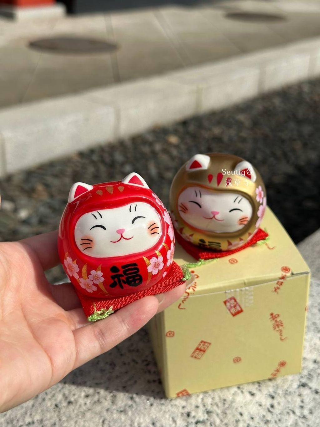 image_E54EC708-5E7A-454D-B4FB-F494457B3128_1772885653