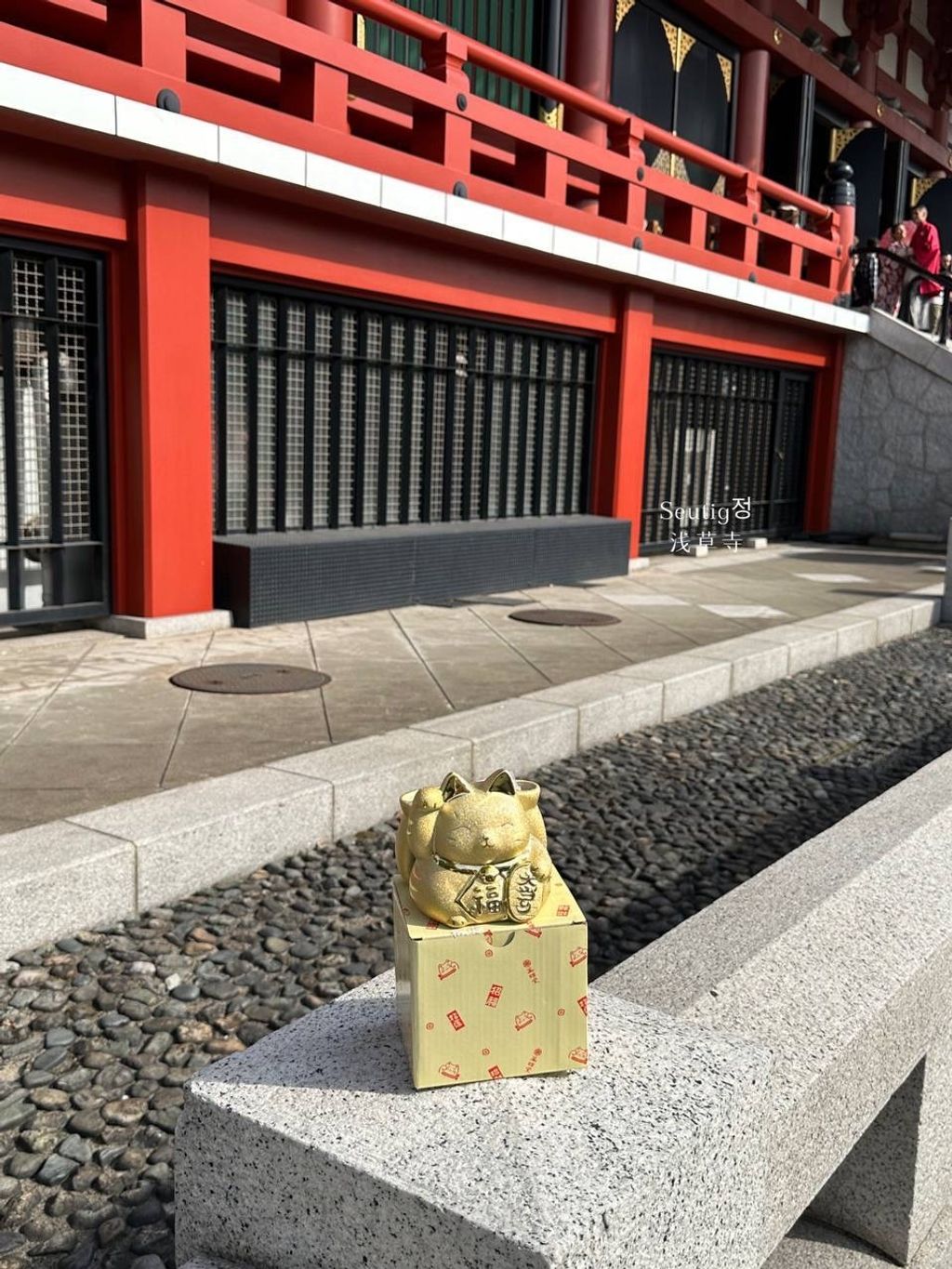 image_91387676-0DD0-40E4-BA05-2FBD3D1485B1_1772885721