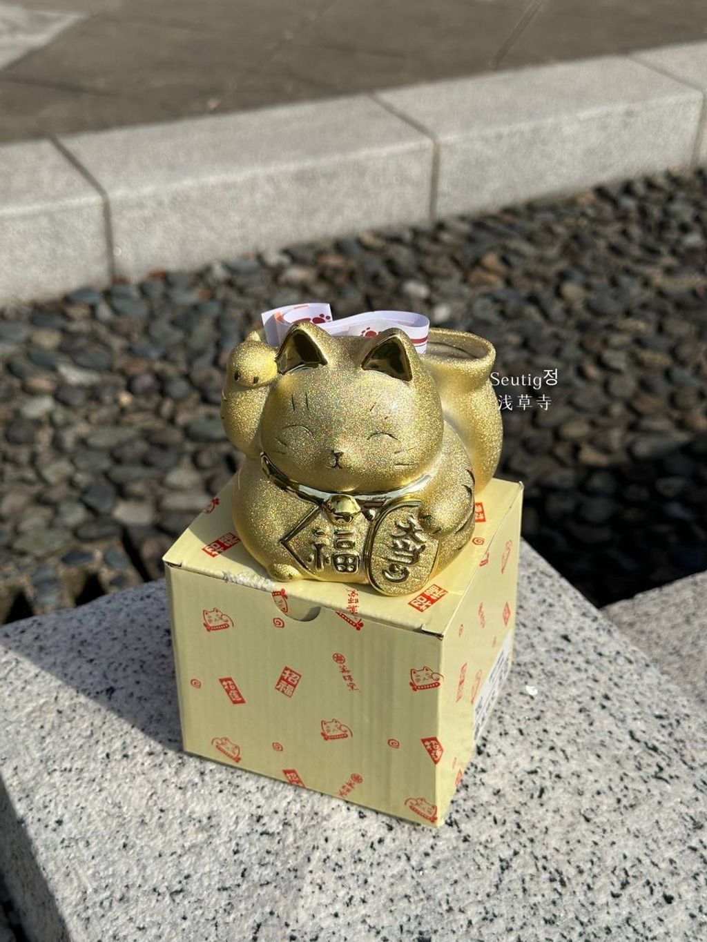 image_AF93AA9C-99E0-444E-8A0B-54DFE38A6DA1_1772885721