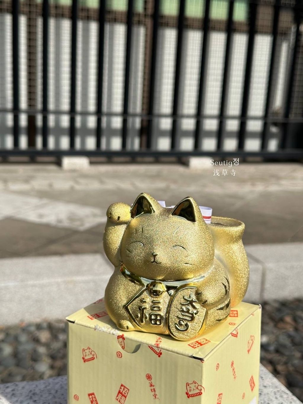 image_CB010F78-DA38-48CE-90DC-FA1F7BA27350_1772885721