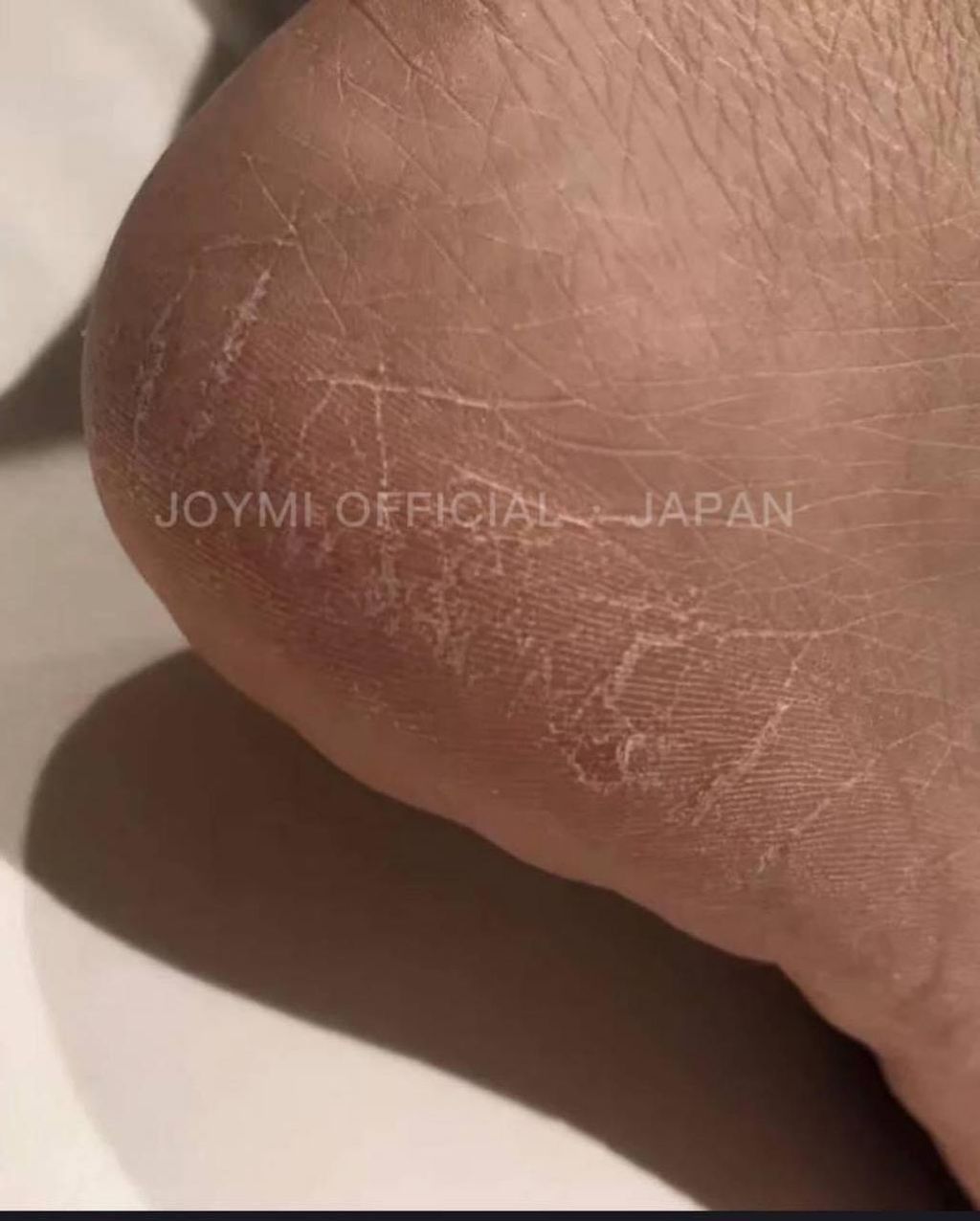 photo_75_2026-03-11_20-37-28