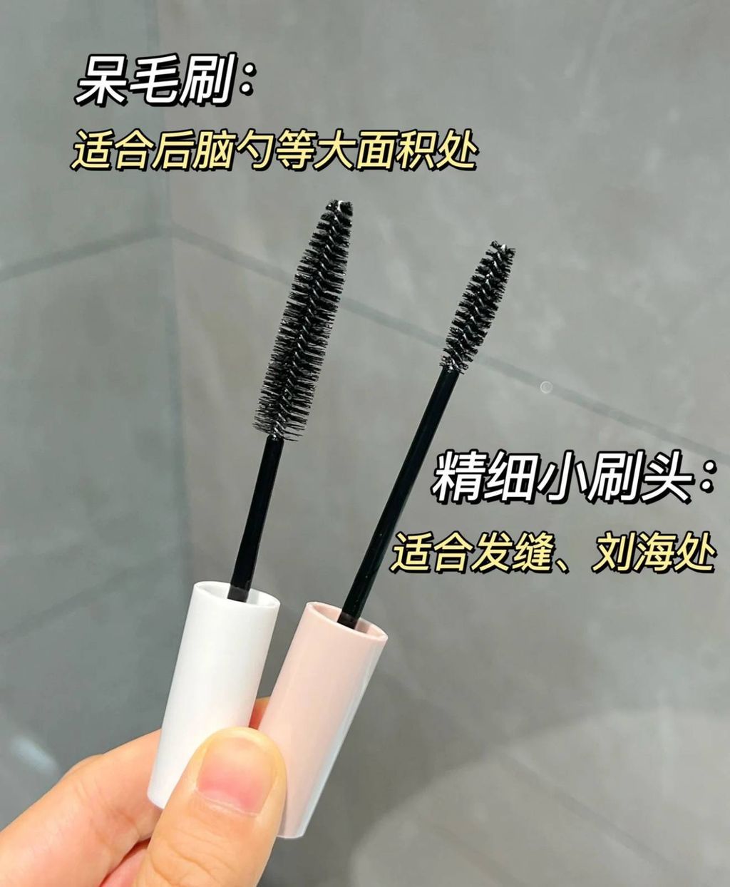 photo_12_2026-03-11_23-43-03