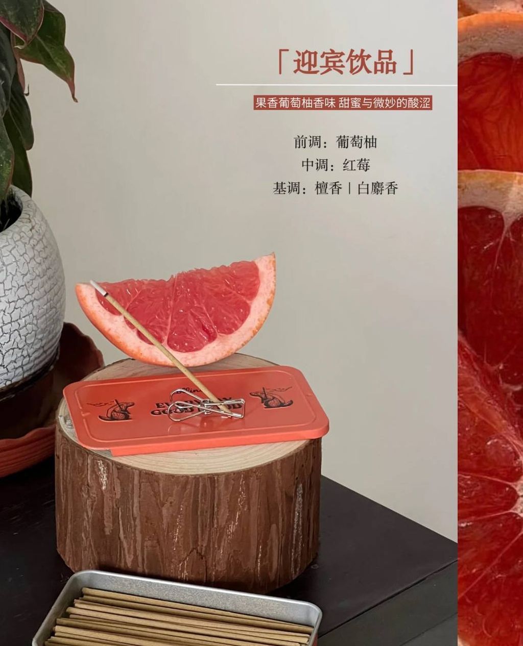 photo_8_2026-03-24_17-41-22