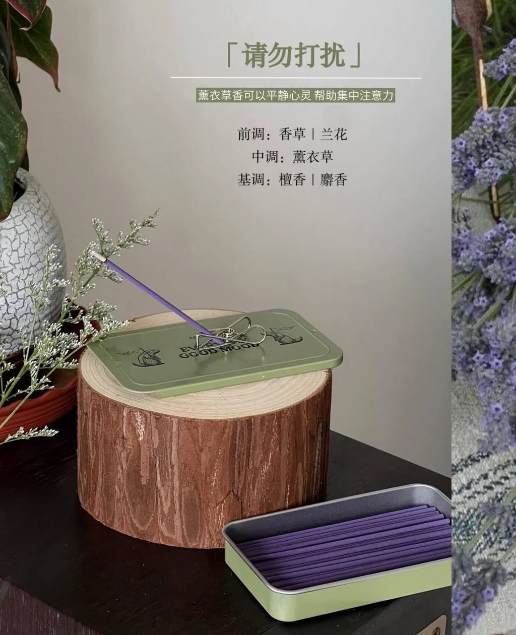 photo_9_2026-03-24_17-41-22