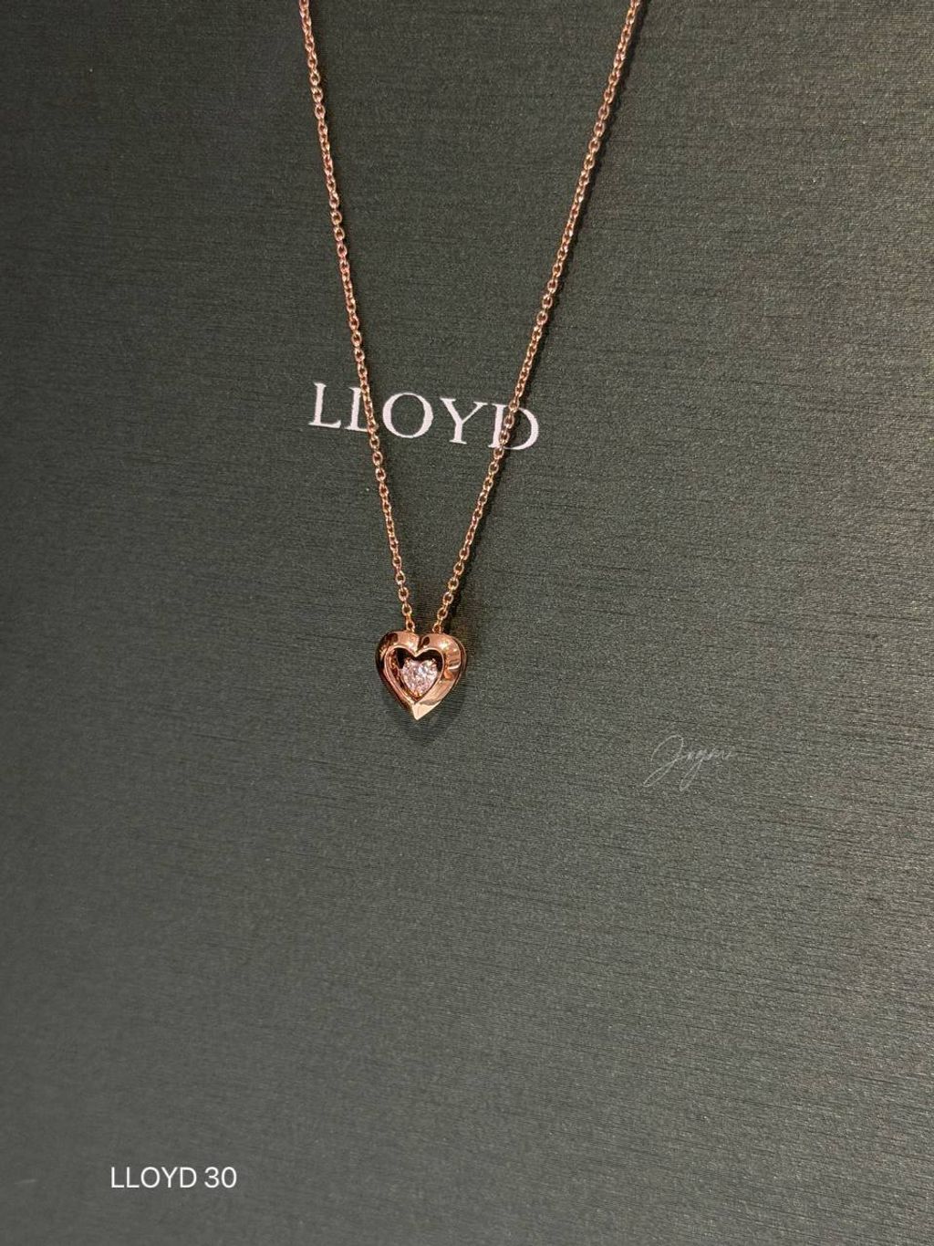 photo_4_2026-01-16_22-04-32