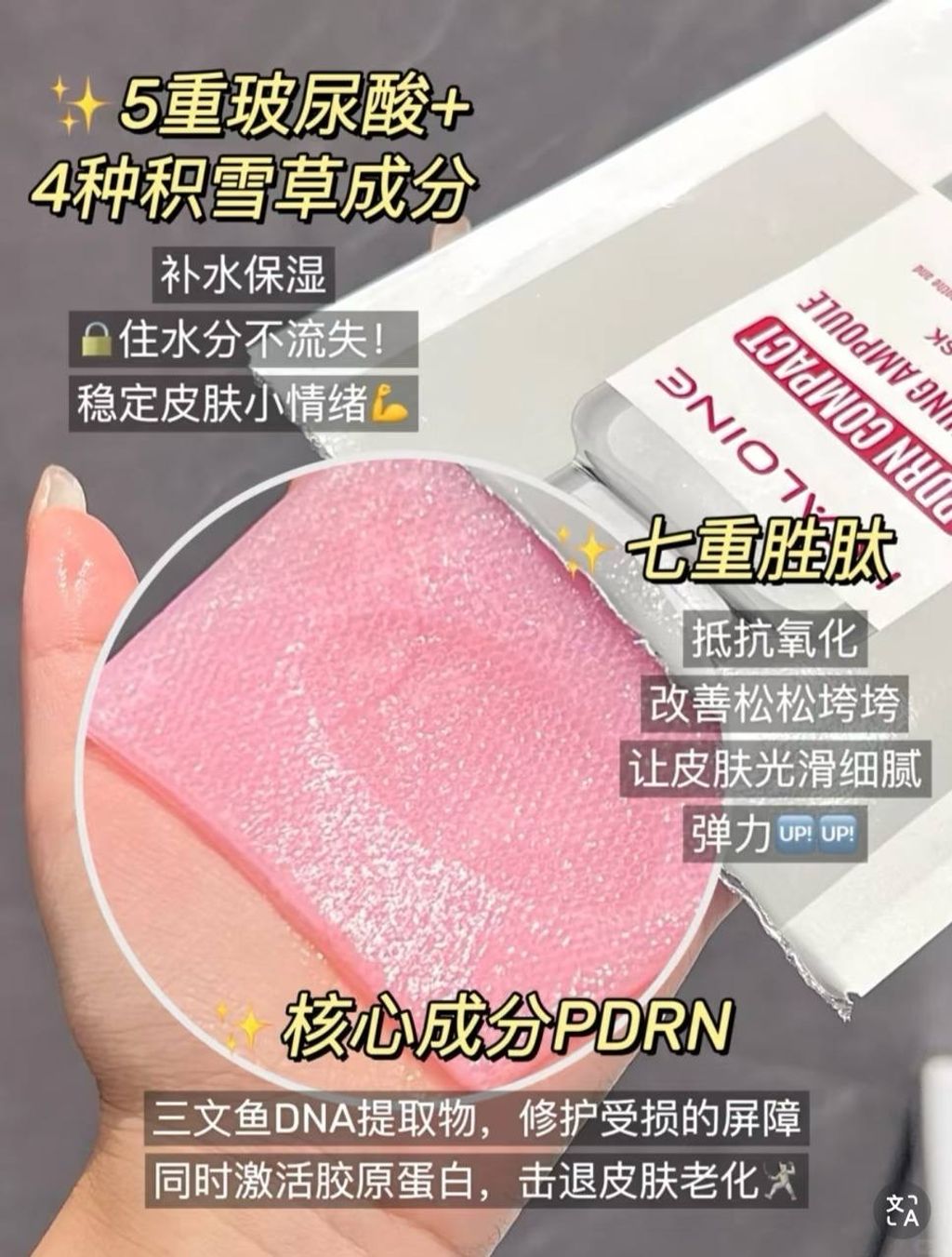 IMG_2672-1740744276614