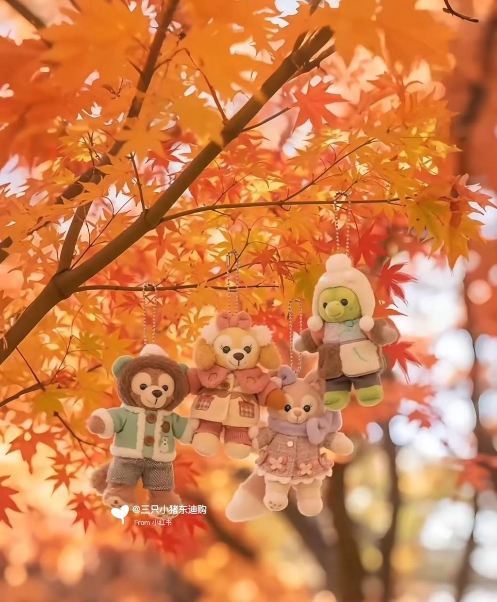 image_599BDE71-269A-4E26-9D98-A23D452245FA_1762357072