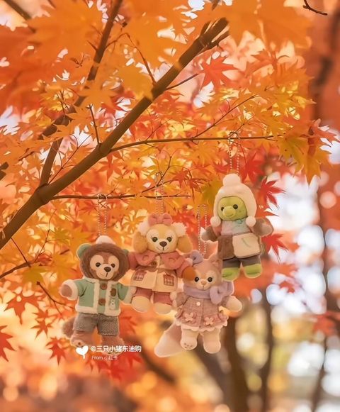 image_599BDE71-269A-4E26-9D98-A23D452245FA_1762357072