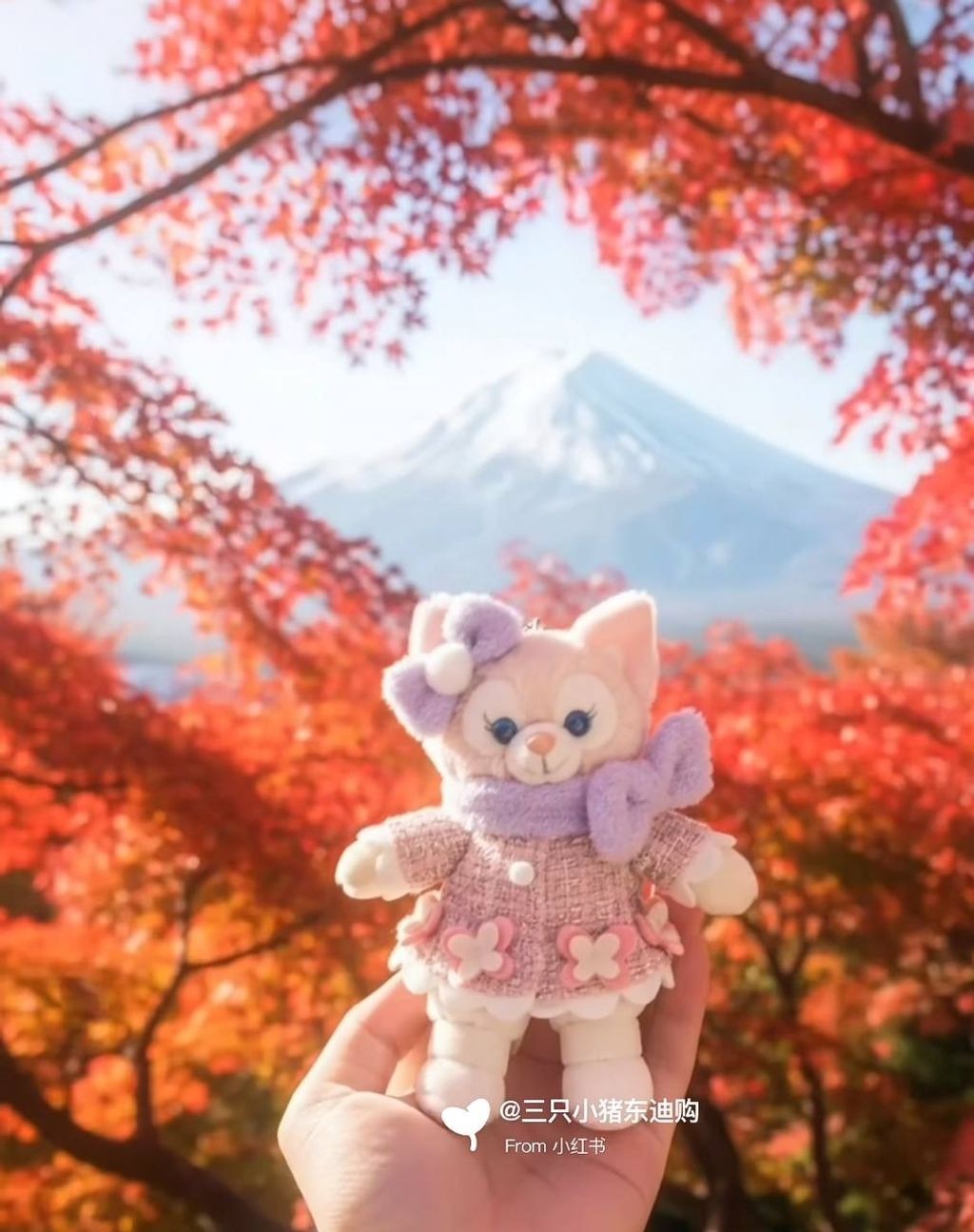 image_4E66433D-6BBB-4CC7-B34A-9C9EA28558C2_1762357072