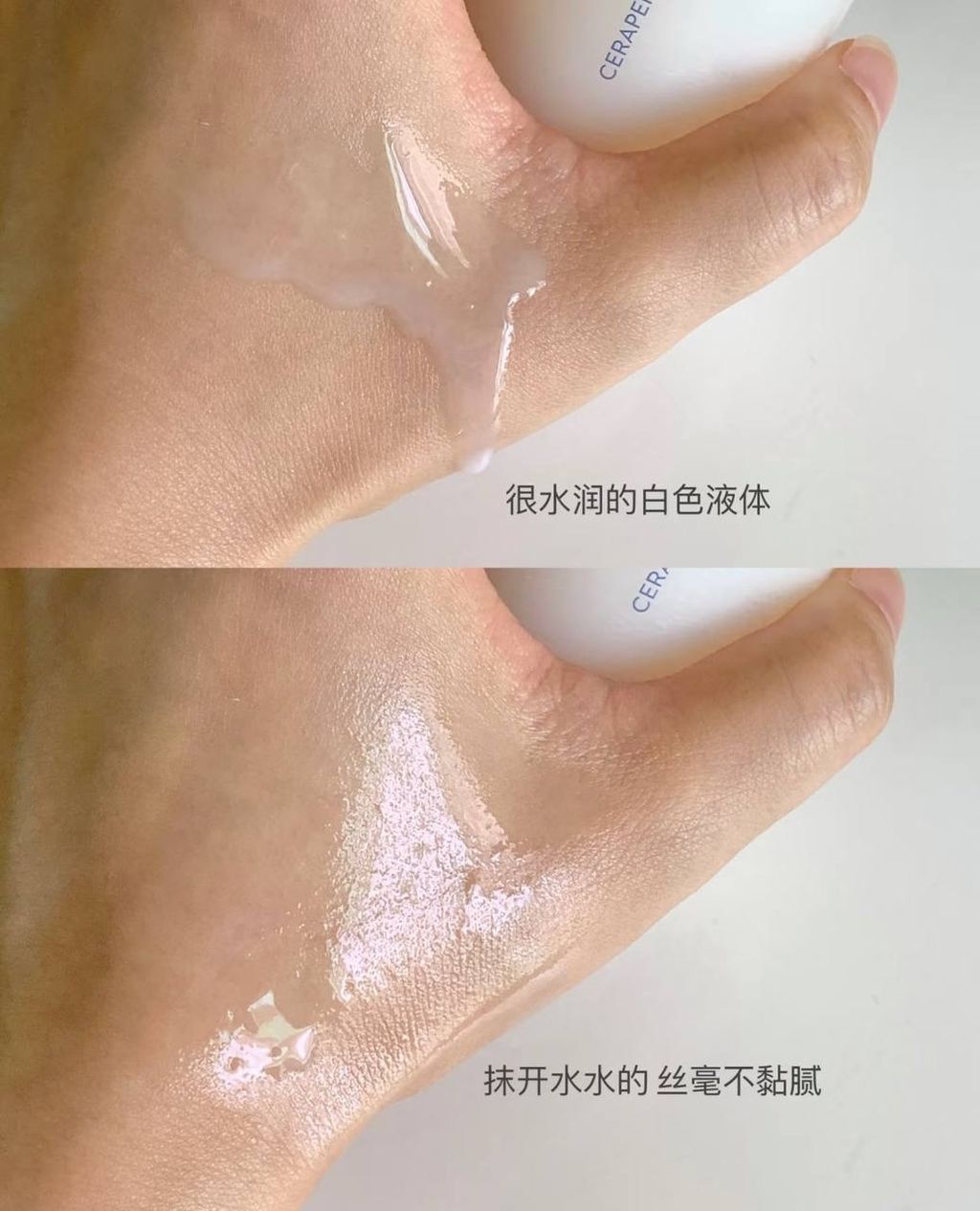 IMG_6007-1733582643293