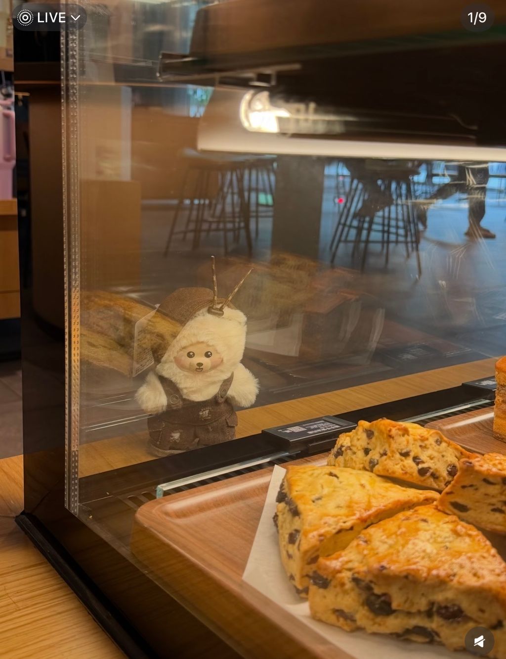 image_F25FADC4-91FF-46DA-9441-86C4BFFACBC5_1774804209