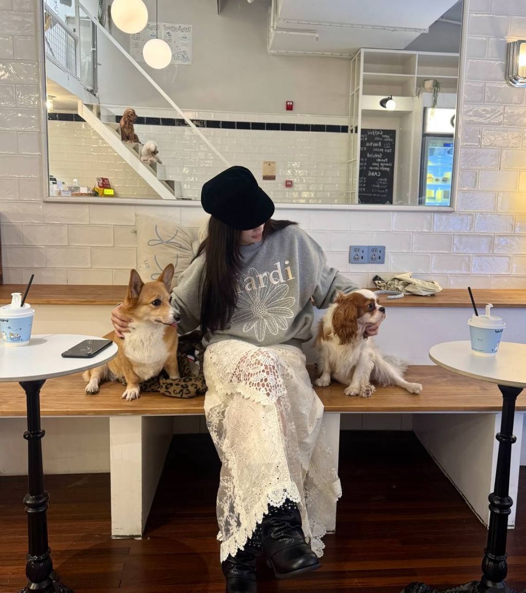 photo_38_2026-04-05_10-47-13