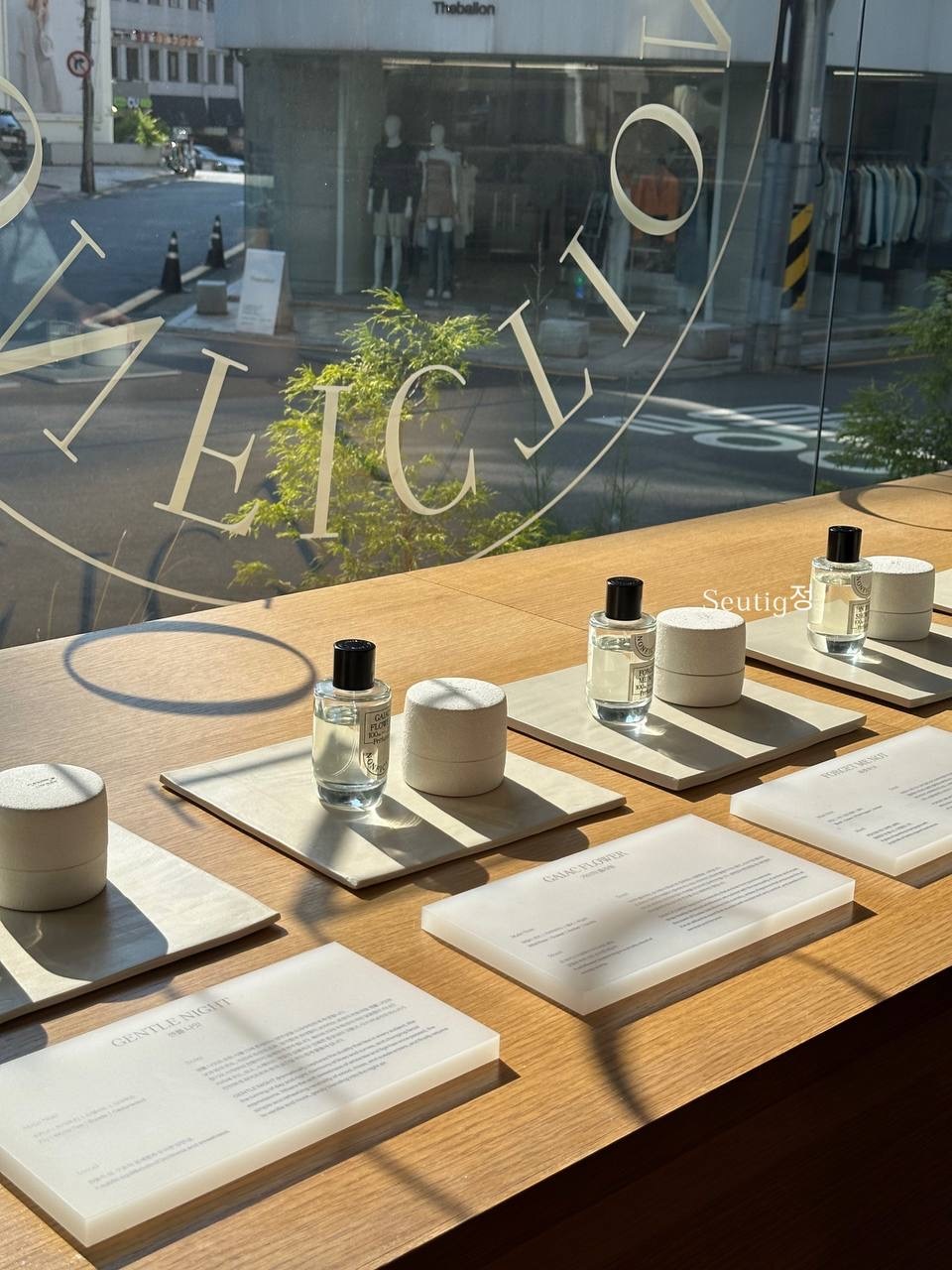 IMG_3009-1717561230102