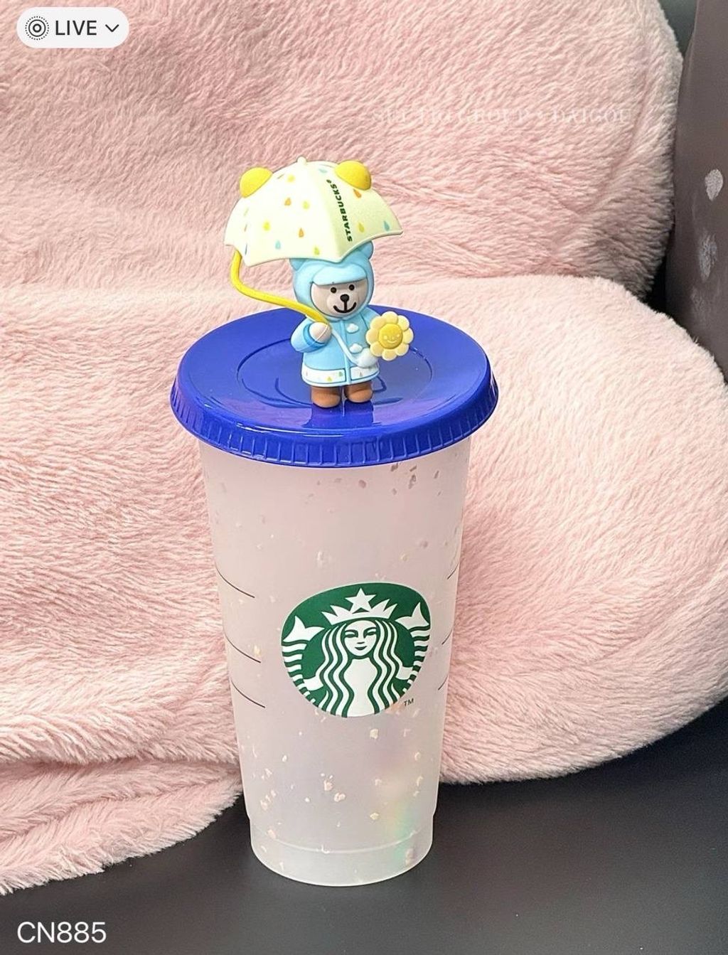 IMG_9419-1719220124402