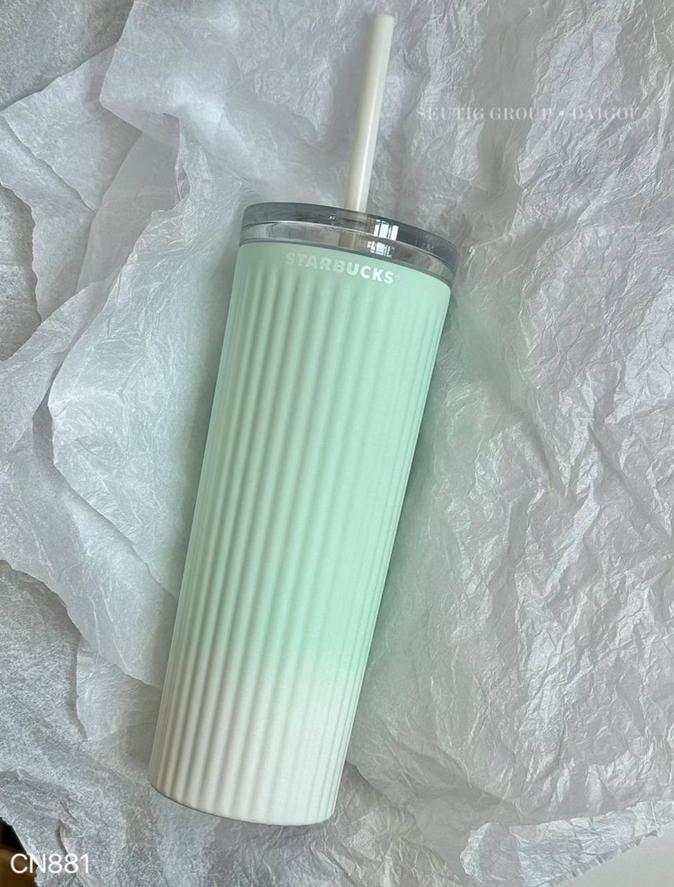 IMG_9524-1719403847501