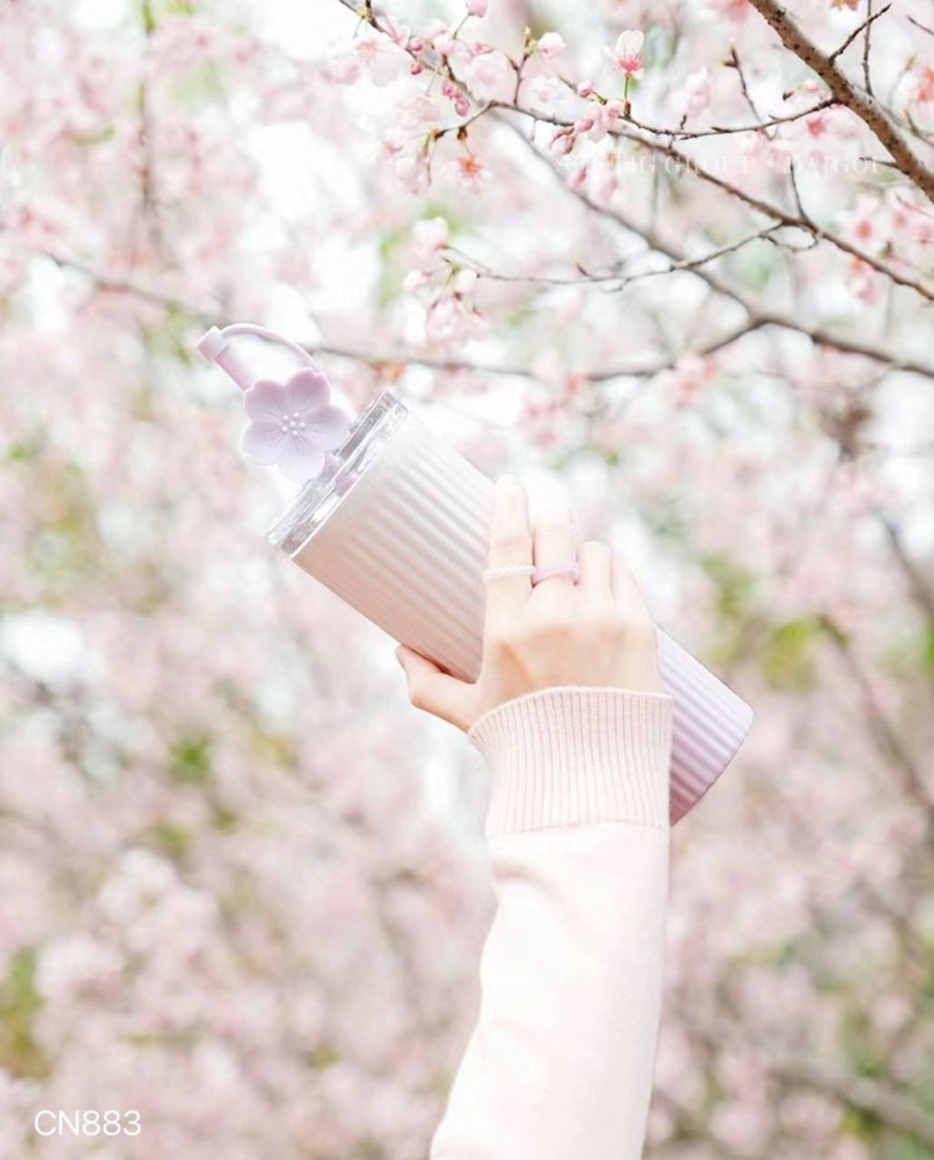 IMG_9534-1719404019530