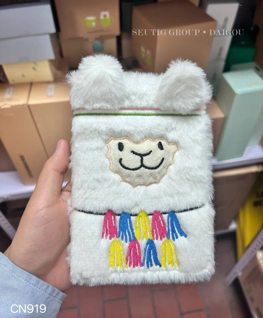 IMG_9918-1720501473092