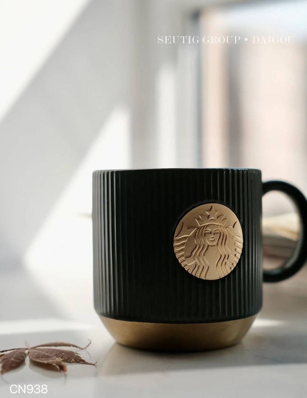 IMG_0880-1720776203919