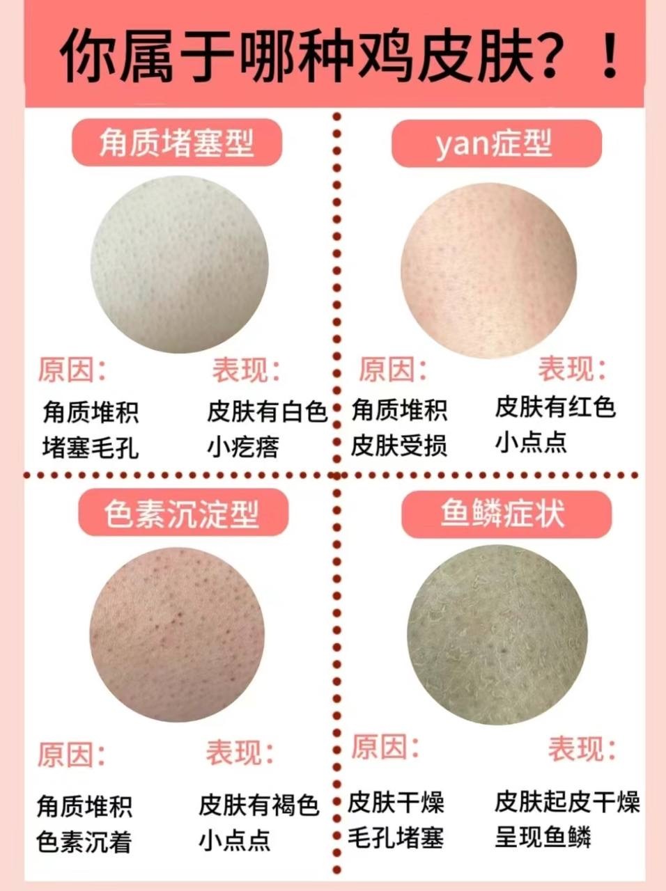 IMG_6995-1723353999209