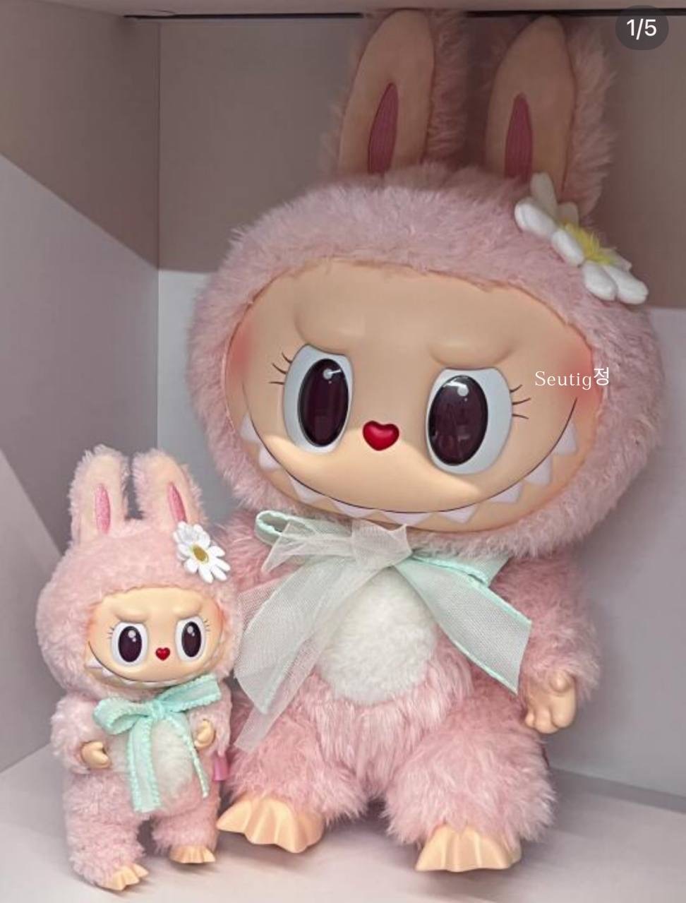 IMG_5860-1725275720282