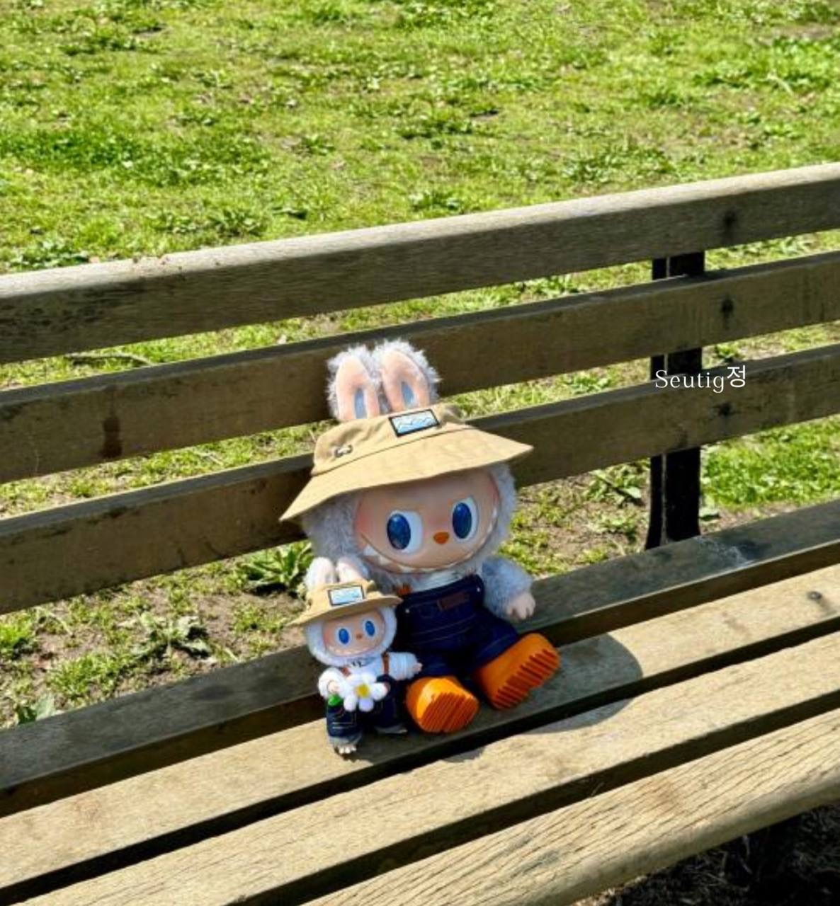 IMG_5876-1725276148046