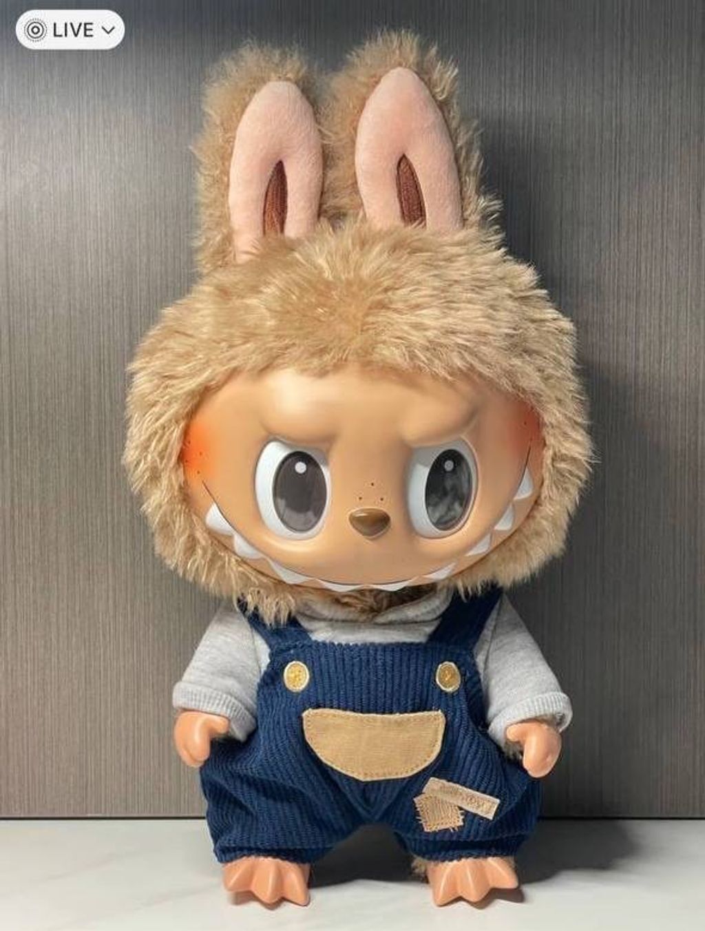 IMG_5967-1725277982287