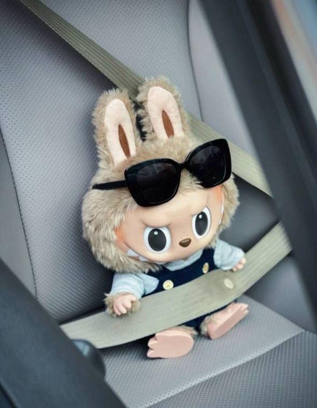 IMG_5972-1725277982323