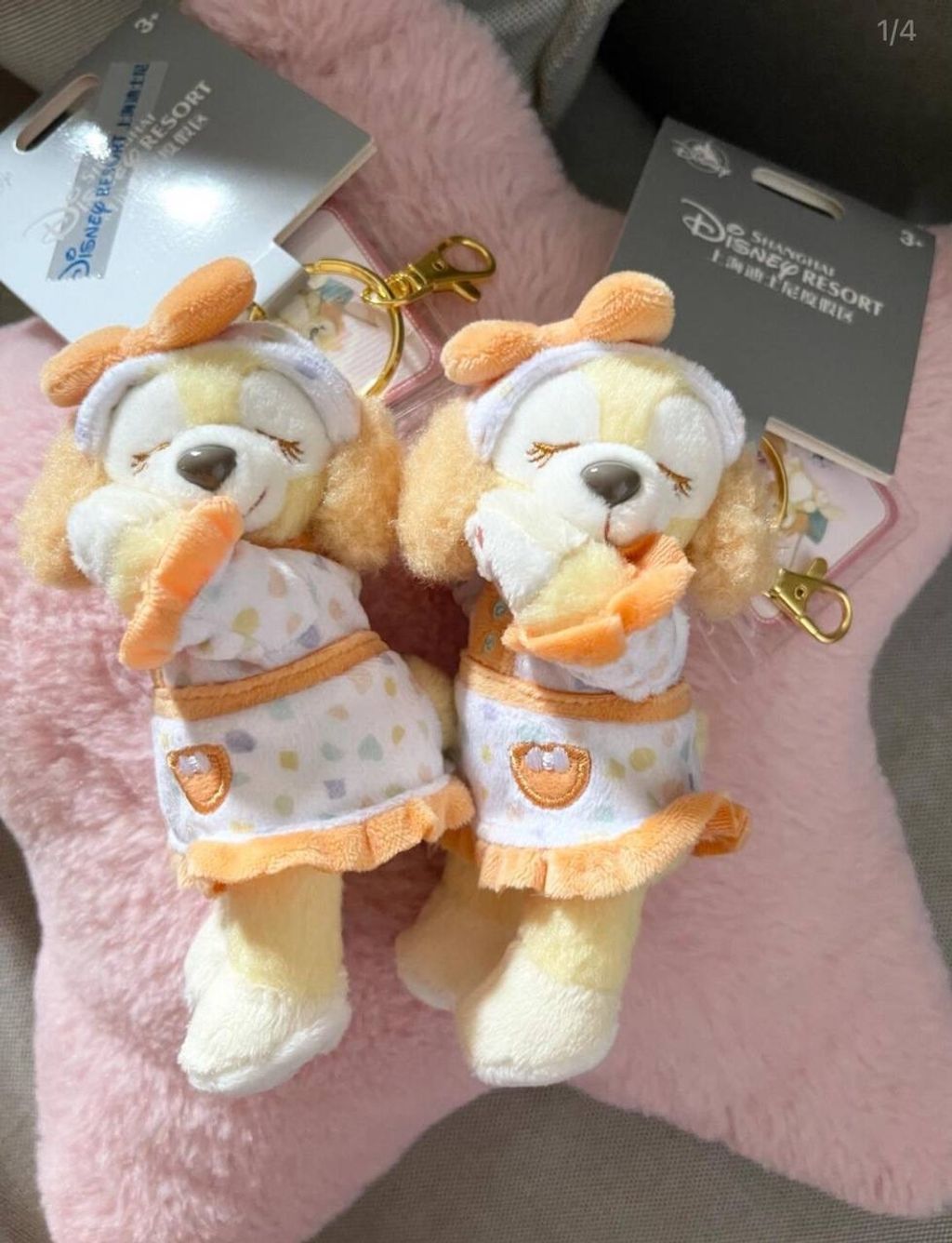 IMG_7004-1725445952996