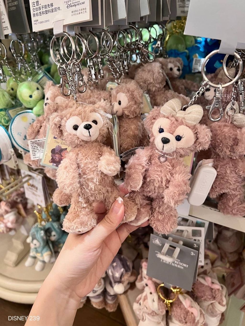 IMG_7037-1725446988271