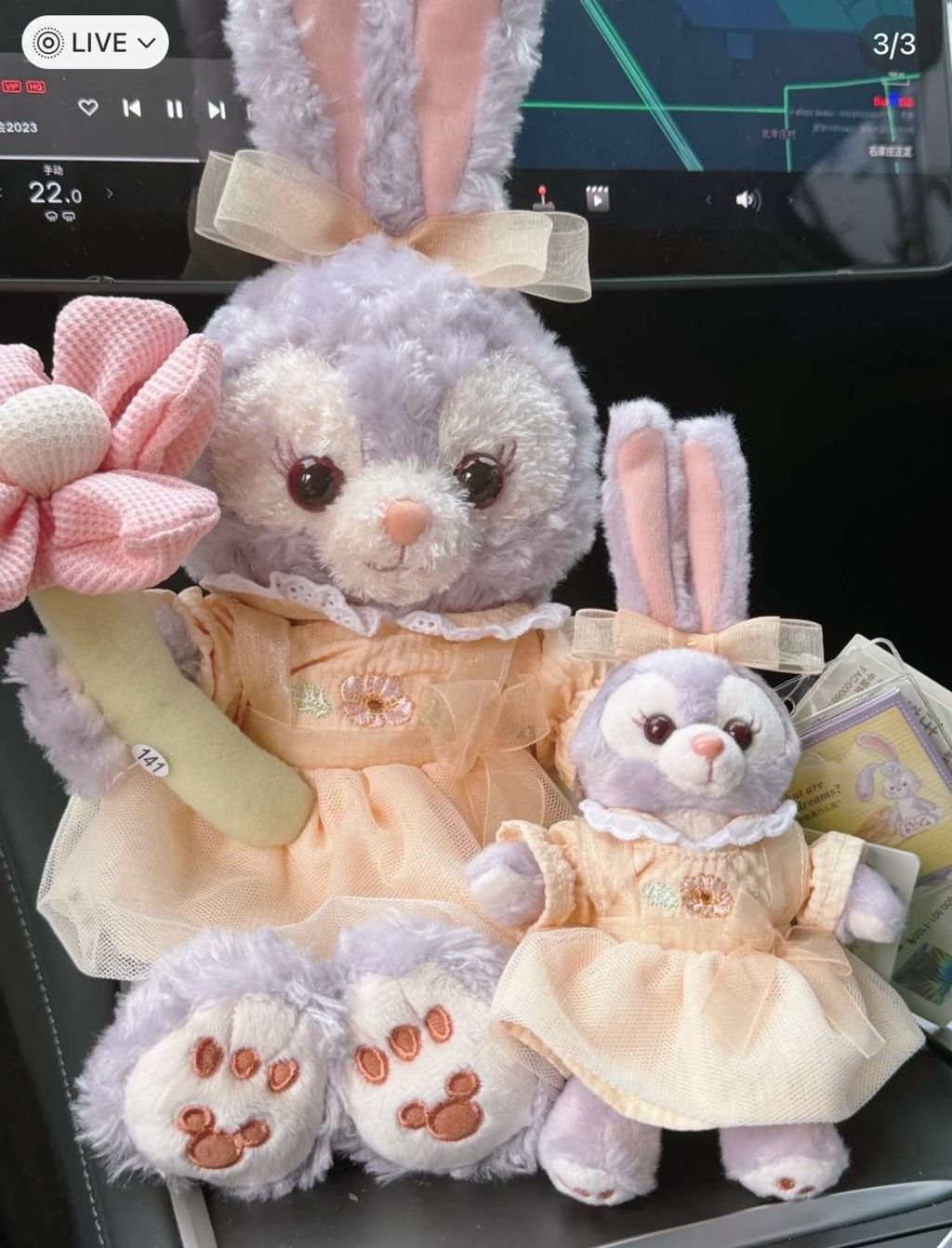 IMG_7042-1725447135995