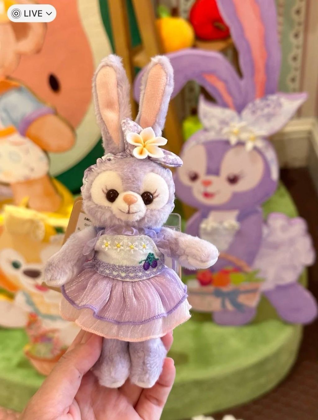 IMG_7051-1725447291197