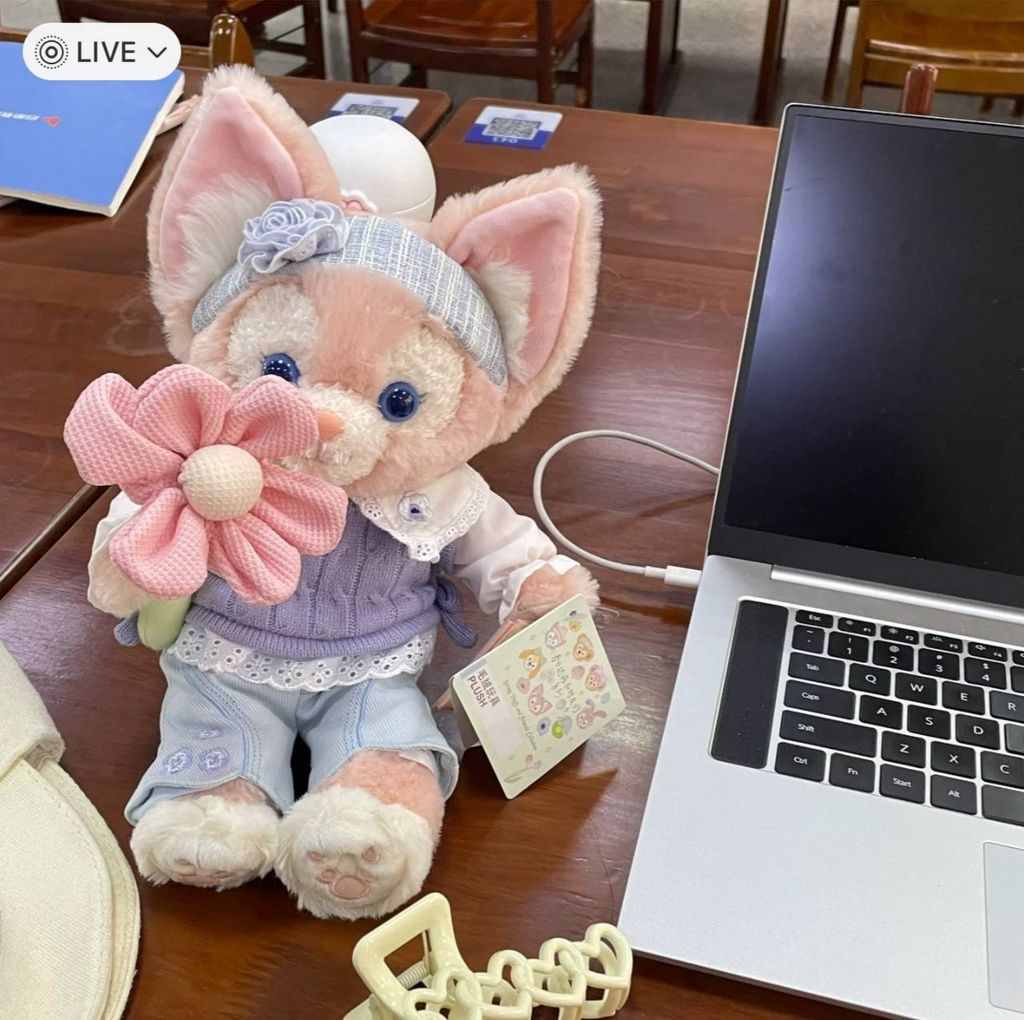 IMG_7069-1725447484499