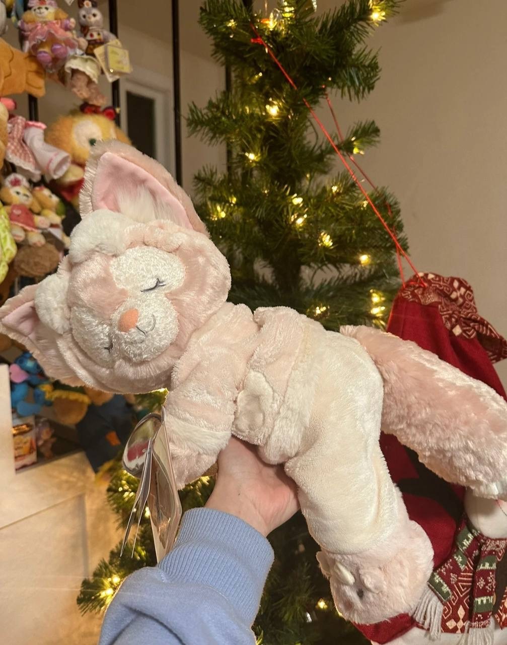 IMG_7088-1725447684852