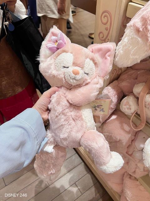 IMG_7091-1725447761482