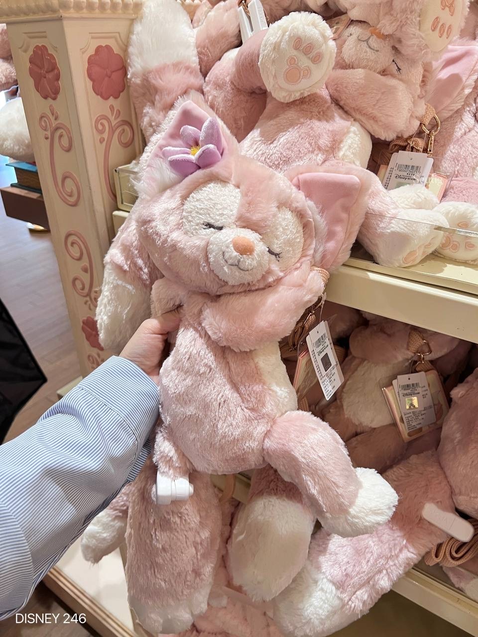 IMG_7094-1725447761507