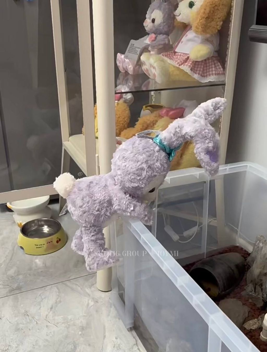 IMG_7135-1725529621088