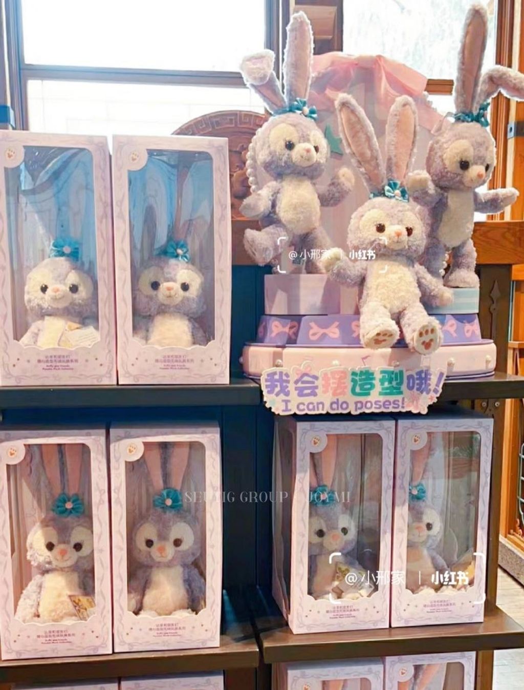 IMG_7128-1725529621104