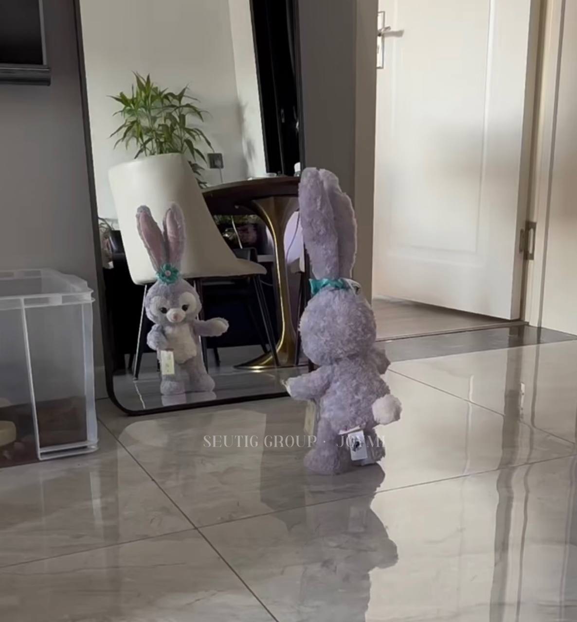 IMG_7134-1725529621147