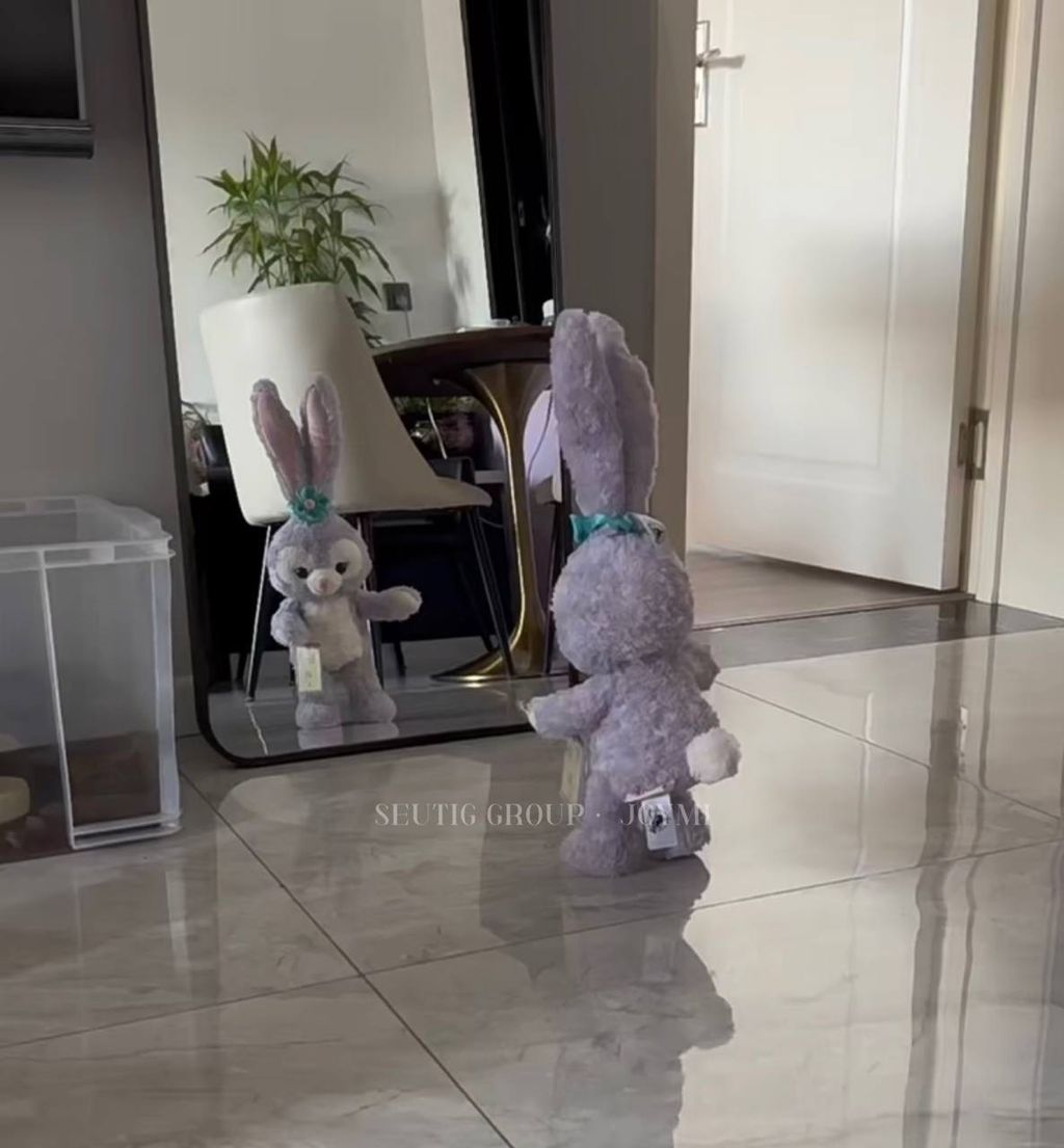 IMG_7134-1725529621147