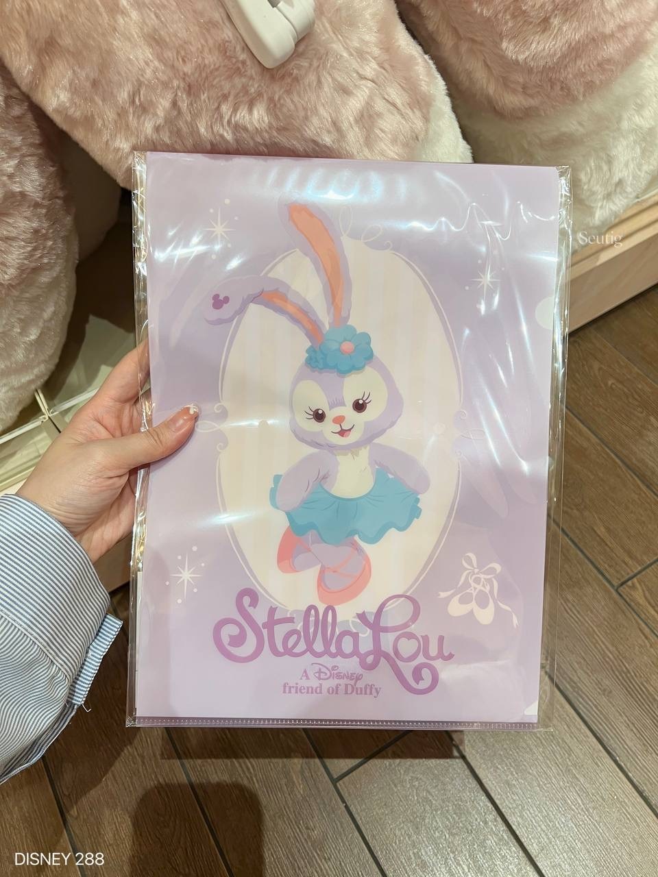 IMG_7300-1725534662879