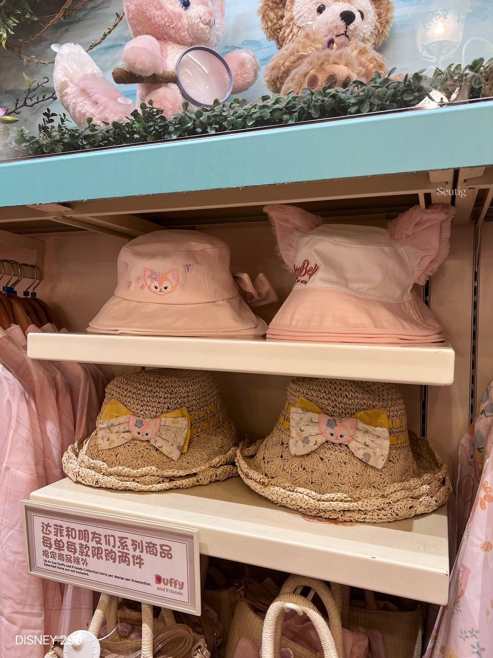 IMG_7305-1725534904924