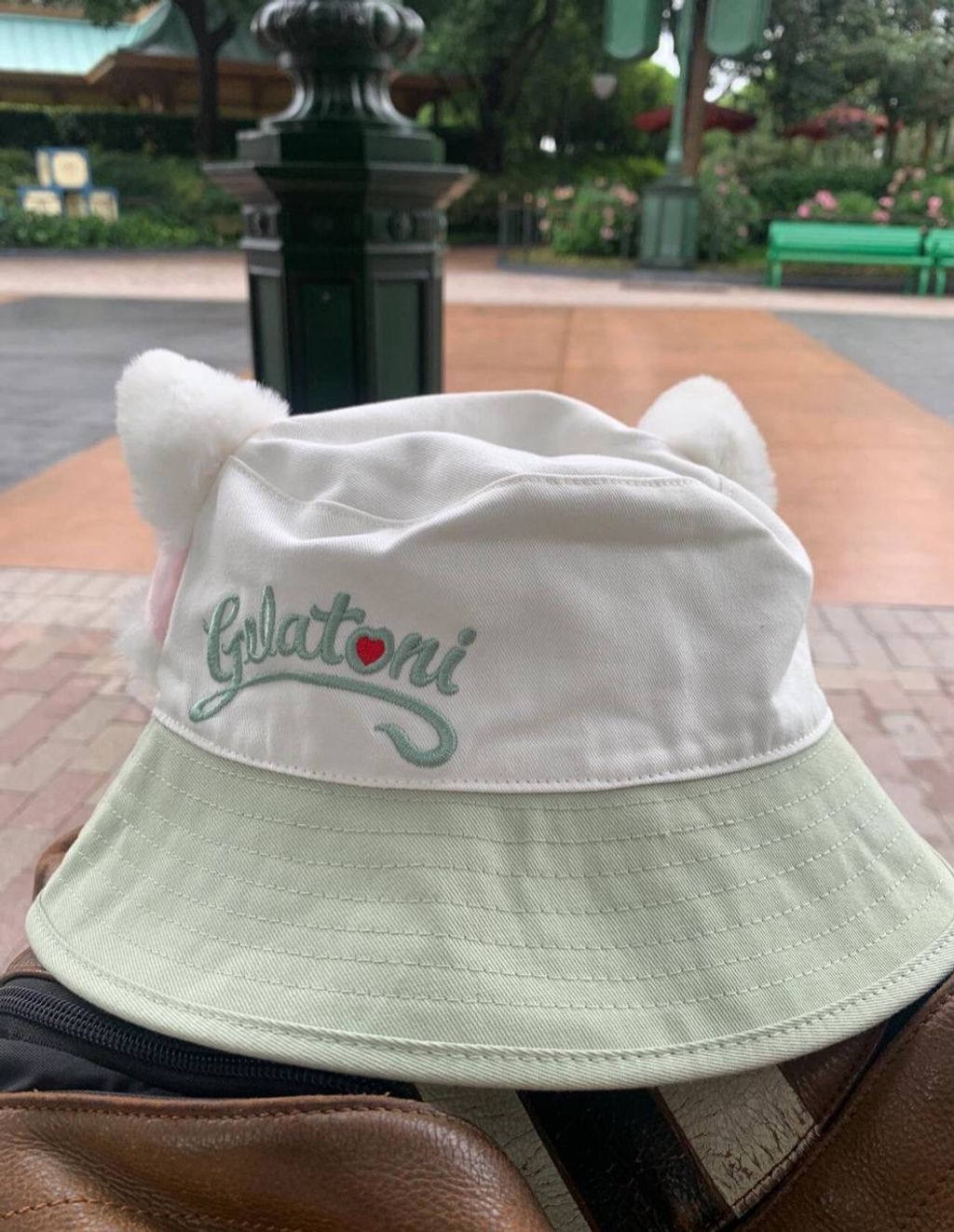 IMG_7313-1725534975373