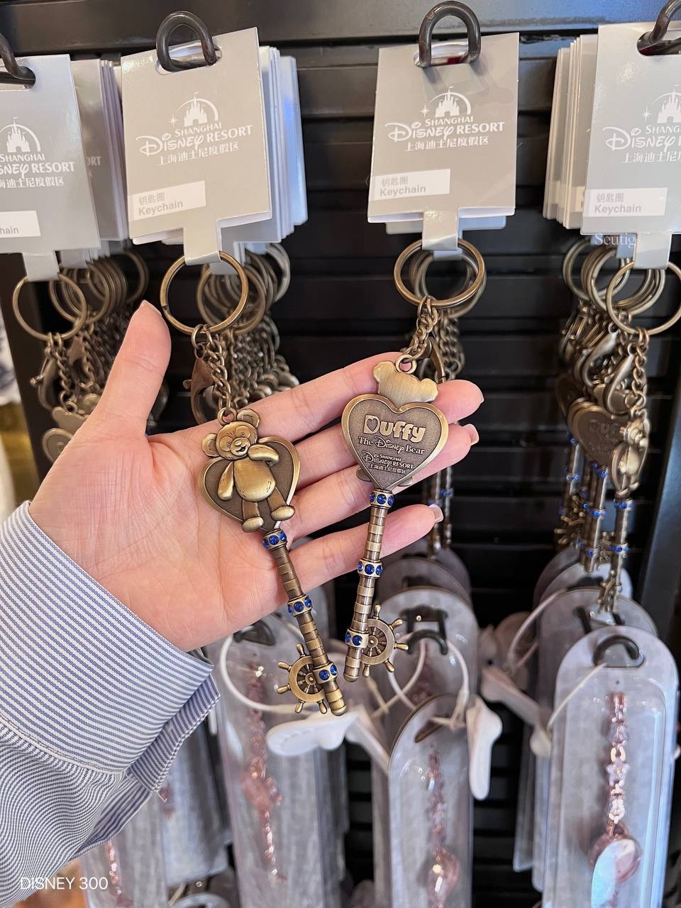 IMG_7368-1725536479675