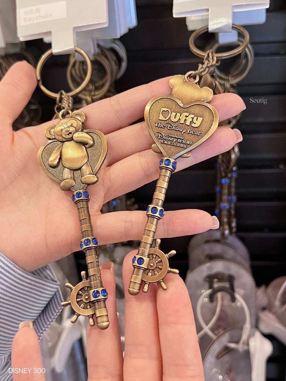 IMG_7369-1725536479680